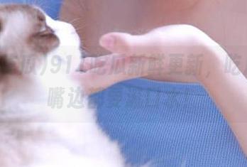 911吃瓜新鲜更新，吃瓜吃到嘴边都要流口水！