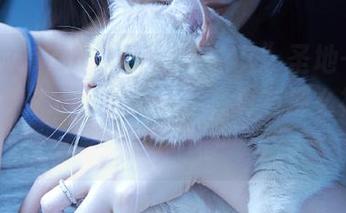 吃瓜族的“永久”圣地——“www.17.c346com”，真有那么神奇吗？
