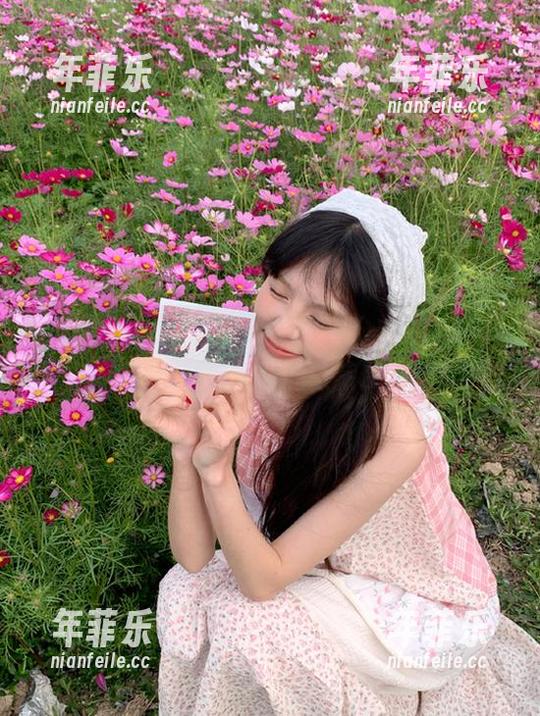 冲哥精选 冲哥精选要升级了,这次请看steam壁纸引擎的隐藏资源!