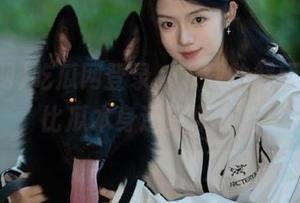 吃瓜网登录,下载的解压过程,比瓜本身还更撩人。