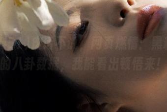 废话不说，网页燃情：黑料51的八卦数据，我能看出顿悟来！