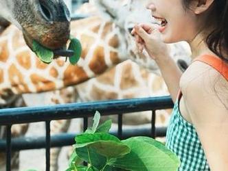 进入黑料社区app，体验永久性八卦沉迷的感觉……