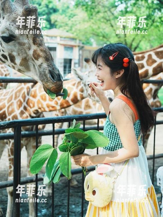黑料社区 进入黑料社区app,体验永久性八卦沉迷的感觉……
